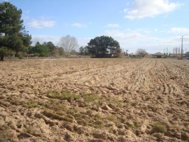 Terreno venda em Salvaterra De Magos, Santarém