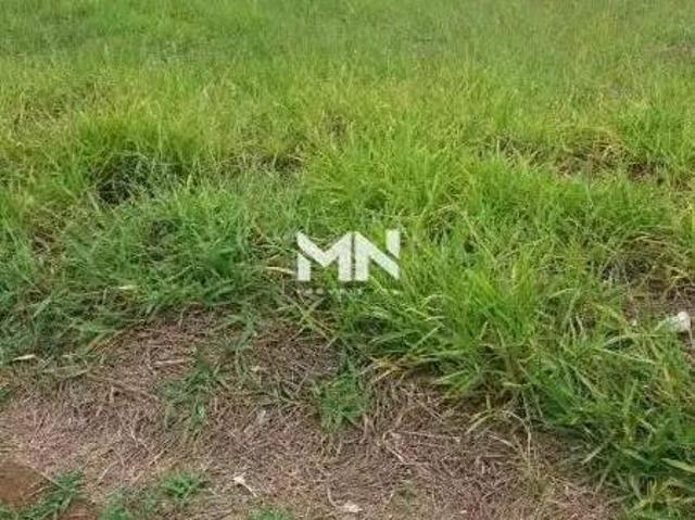 Terreno venda em Jardim Santa Marta III, Salto