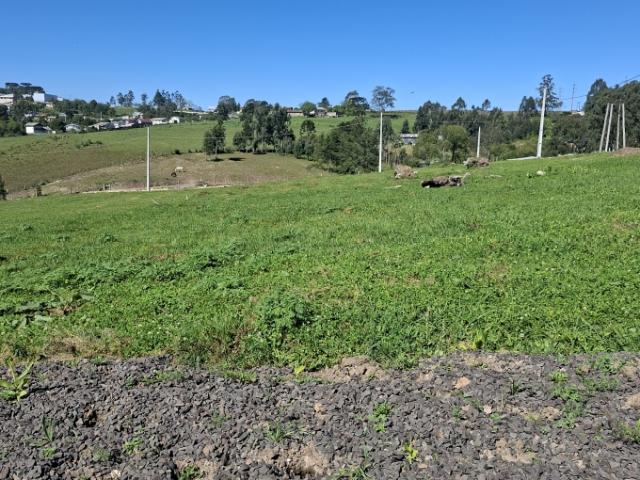 Terreno venda em Região Geográfica Imediata de Lages, Lages