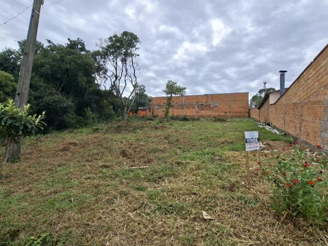 Terreno venda em Região Geográfica Imediata de Lages, Lages