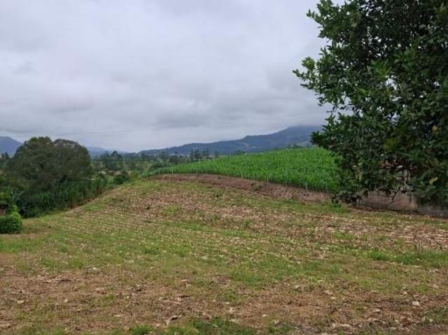 Terreno venda em Região Geográfica Imediata de Rio do Sul, Lontras