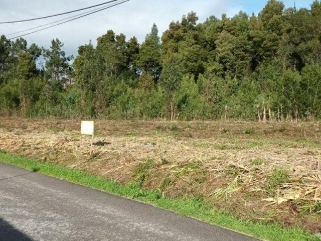Terreno venda em Mira, Coimbra