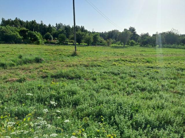 Terreno venda em Cential, Mira