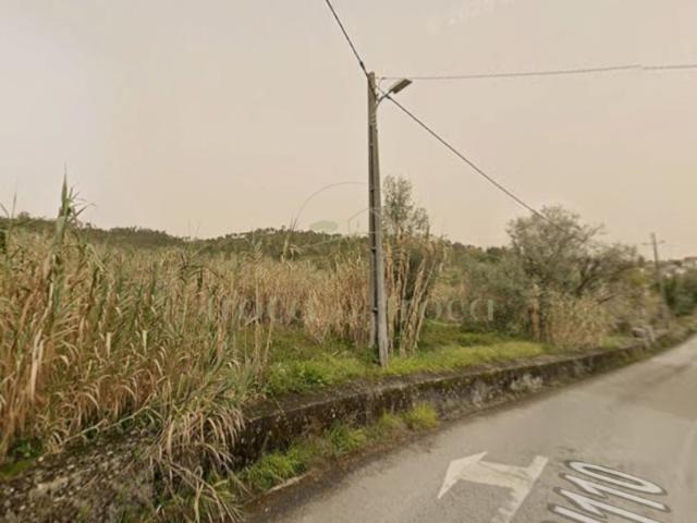 Terreno venda em Coimbrã, Almalaguês
