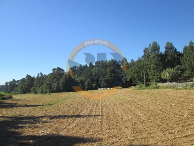 Terreno venda em Ovar, Aveiro