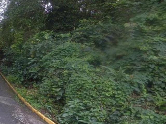 Terreno venda em Região Imediata de Caraguatatuba-Ubatuba-São Sebastião, Região Metropolitana do Vale do Paraíba e Litoral Norte