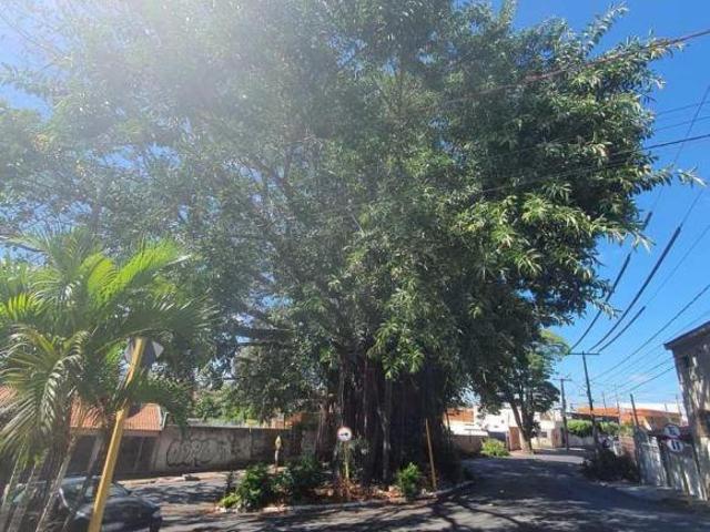 Terreno venda em Região Imediata de Bauru, Bauru