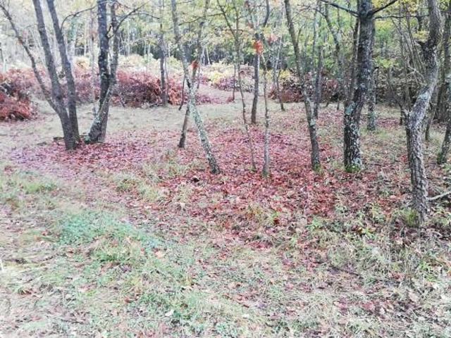 Terreno in vendita a Vinchiaturo, Molise