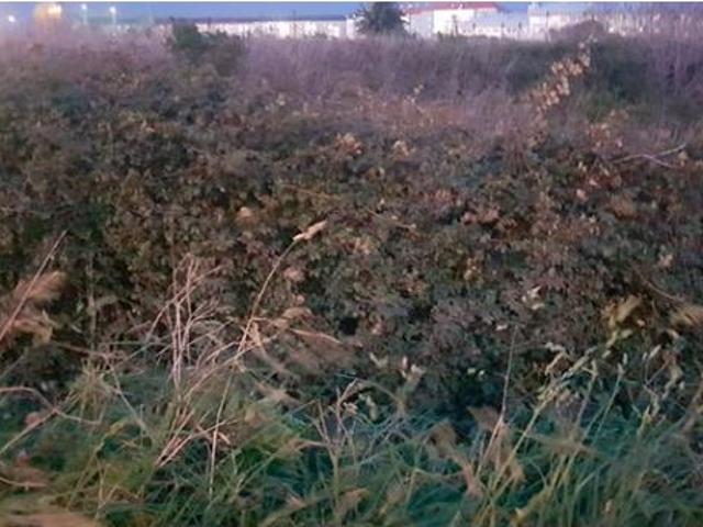 Terreno en venta en Agra de Santo Amaro, A Coruña