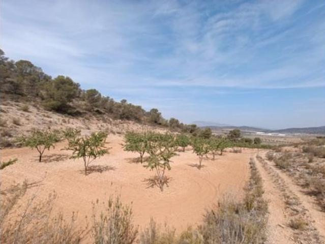 Terreno en venta en Cañada de la Leña, Abanilla