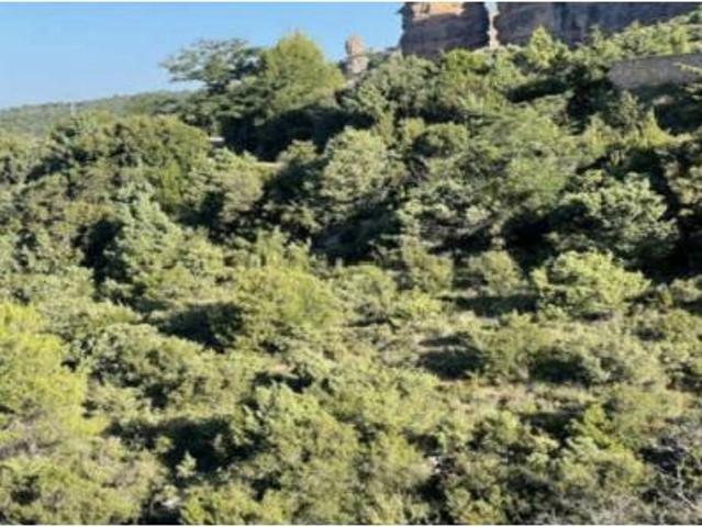 Terreno en venta en Agüero, Huesca