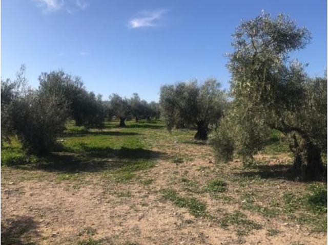 Terreno en venta en Bermejo, Alameda