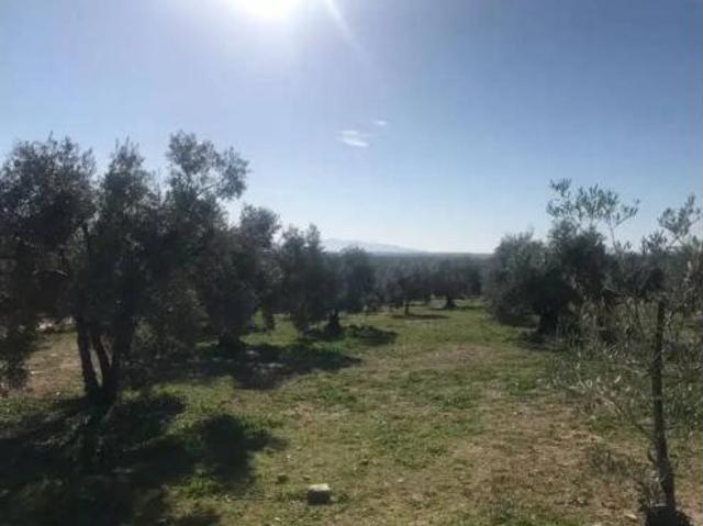 Terreno en venta en Alameda, Málaga
