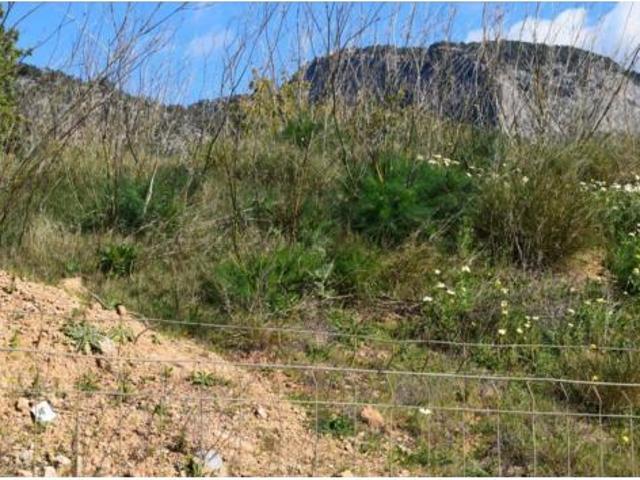 Terreno en venta en es Pontarró, Alaró