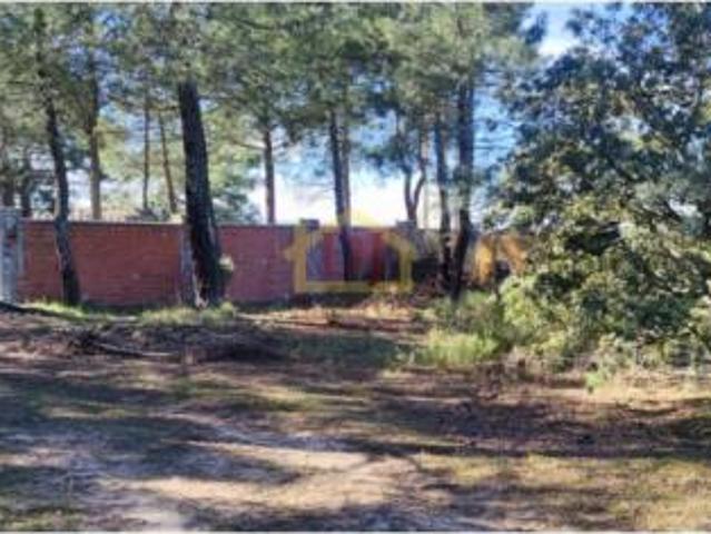 Terreno en venta en El Pinar de Alba, Alba de Tormes
