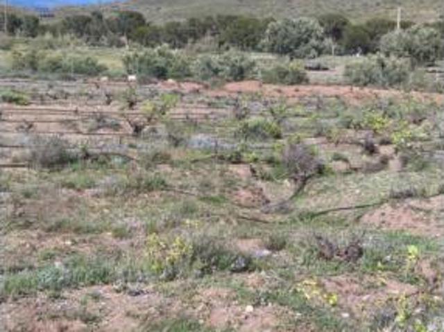 Terreno en venta en Alboloduy, Almería