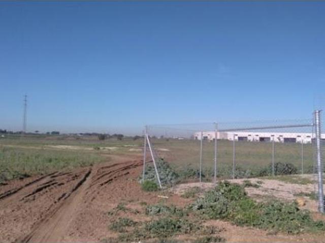 Terreno en venta en Polígono Industrial San Nicolás, Alcalá de Guadaíra