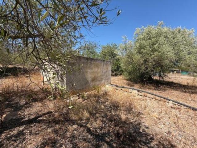 Terreno en venta en Alcanar, Tarragona
