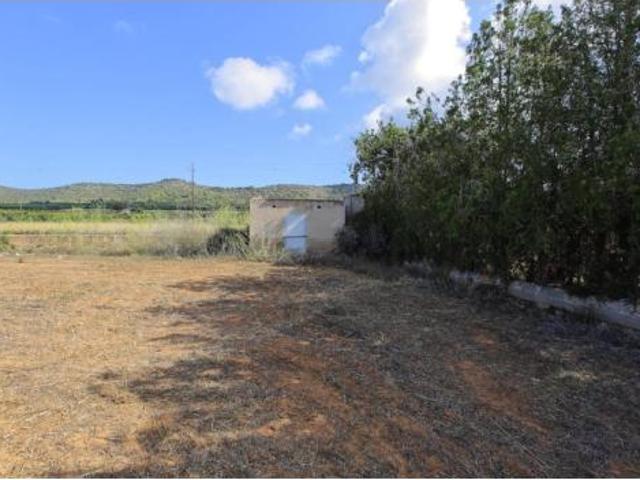 Terreno en venta en Alcanar, Tarragona