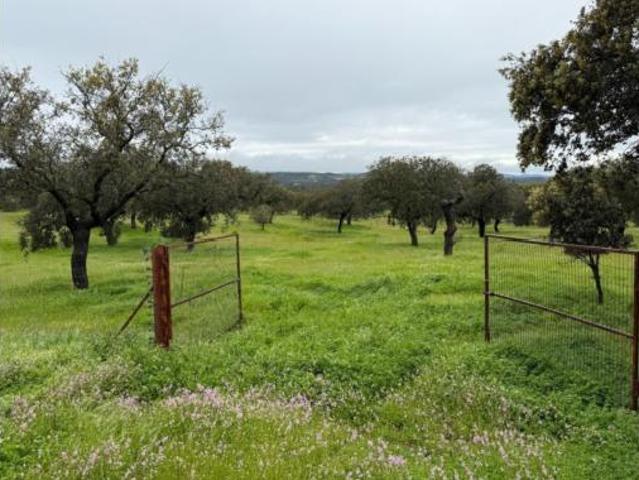 Terreno en venta en Alcaracejos, Córdoba