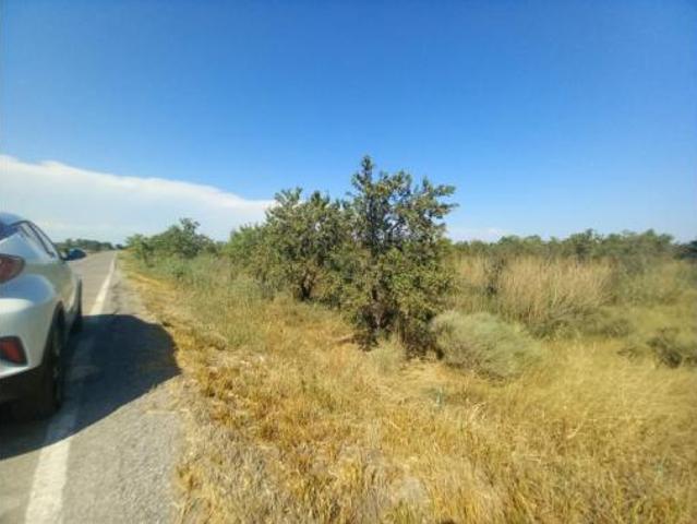 Terreno en venta en Alcolea de Cinca, Huesca