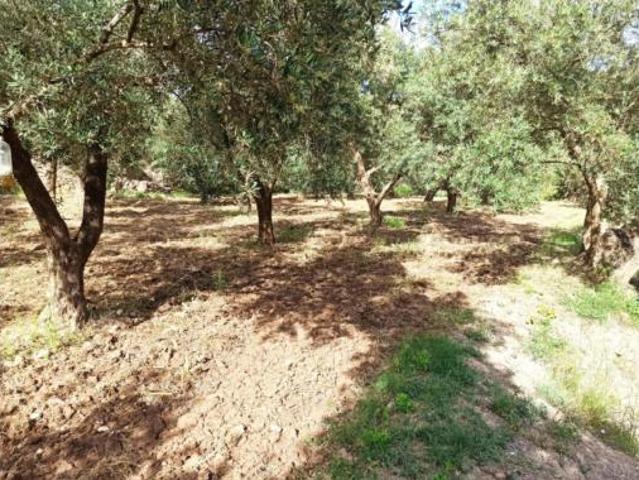 Terreno en venta en Alcolea del Río, Sevilla