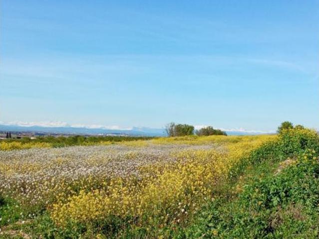 Terreno en venta en Alfántega, Huesca