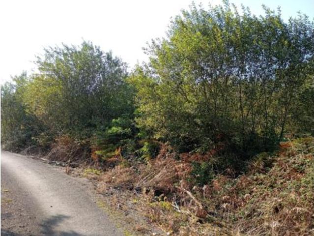 Terreno en venta en Novales, Alfoz de Lloredo