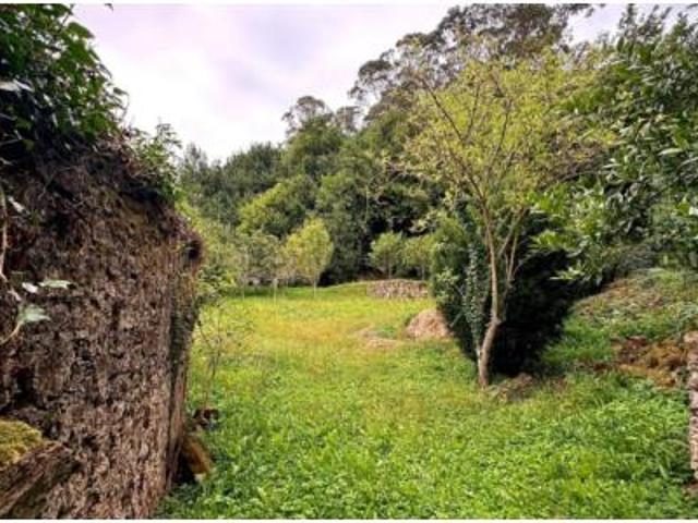Terreno en venta en Novales, Alfoz de Lloredo