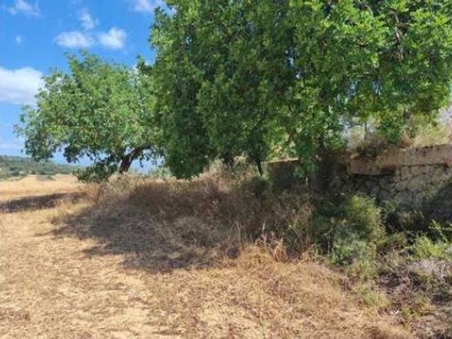 Terreno en venta en Algaida, Illes Balears