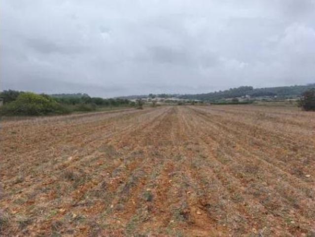Terreno en venta en Algaida, Illes Balears