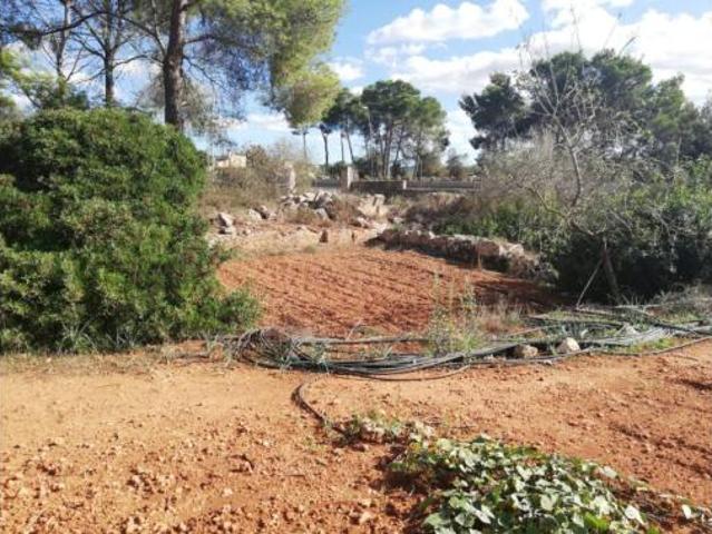 Terreno en venta en Algaida, Illes Balears