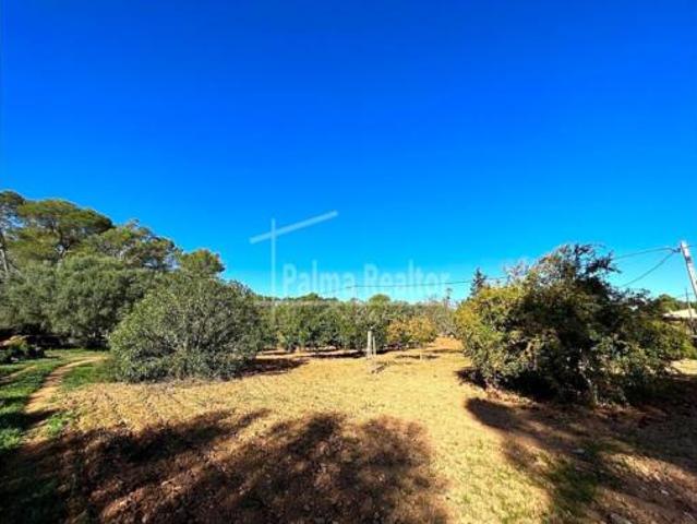 Terreno en venta en Algaida, Illes Balears