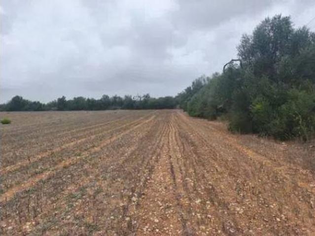 Terreno en venta en Algaida, Illes Balears