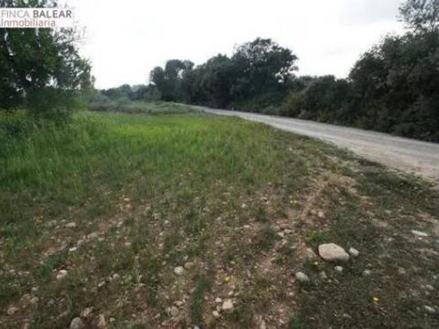 Terreno en venta en Pina, Algaida