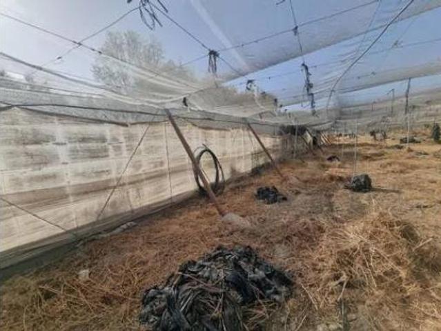 Terreno en venta en Alhabia, Almería