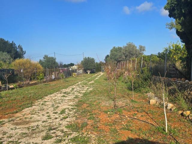 Terreno en venta en la Marina Baixa, Valencia