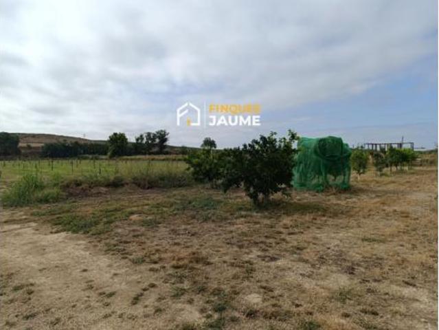 Terreno en venta en Almacelles, Lleida