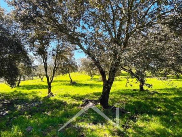 Terreno en venta en Almadén de la Plata, Sevilla