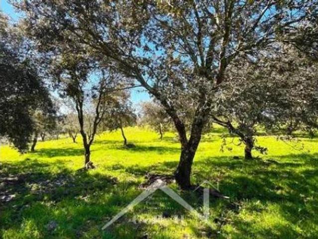 Terreno en venta en Almadén de la Plata, Sevilla