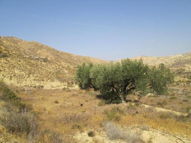 Terreno en venta en Sorbas, Andalucía