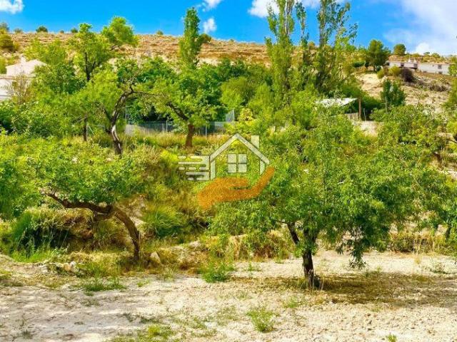 Terreno en venta en Los Vélez, Andalucía