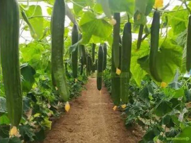 Terreno en venta en Las Joricas, Almería