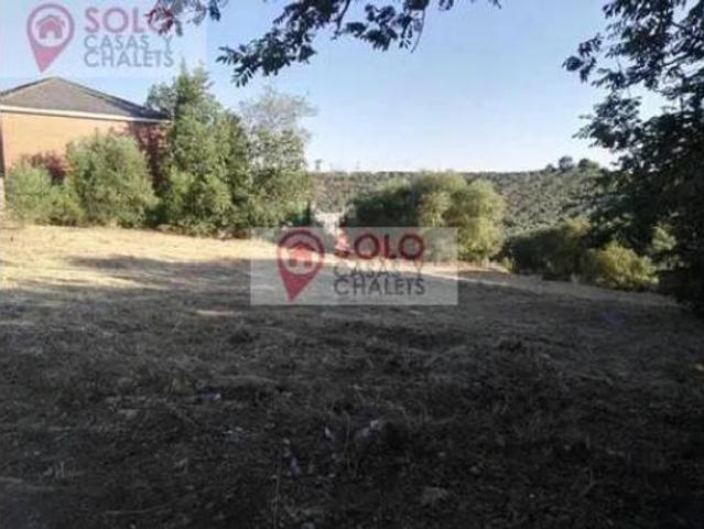 Terreno en venta en Urbanización Injertal de las Cuevas, Almodóvar del Río