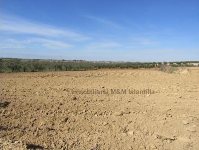 Terreno en venta en Almonte, Huelva