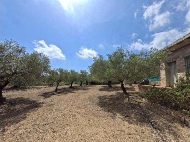 Terreno en venta en Amposta, Tarragona