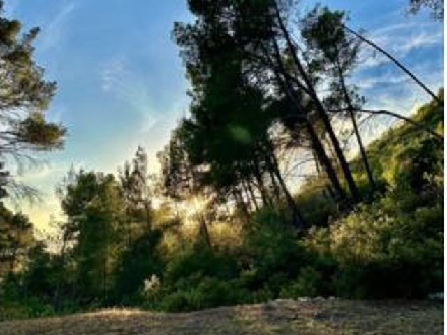Terreno en venta en s'Arracó, Andratx