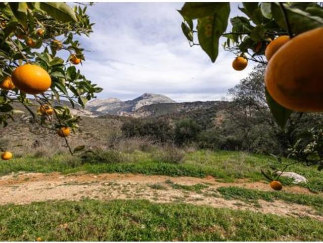Terreno en venta en Ardales