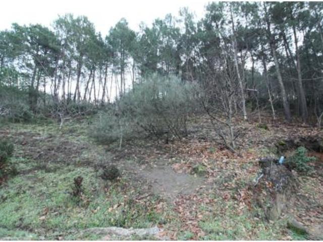 Terreno en venta en Arenas de San Pedro, Ávila