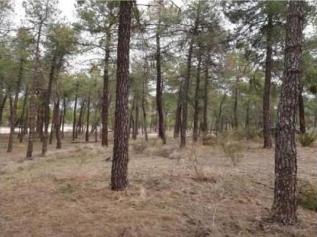 Terreno en venta en Arévalo, Ávila